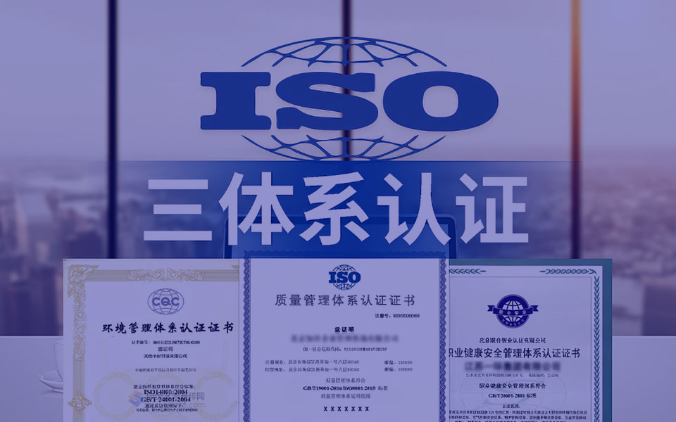 项目标准化管理
